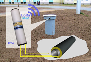 lora6.jpg
